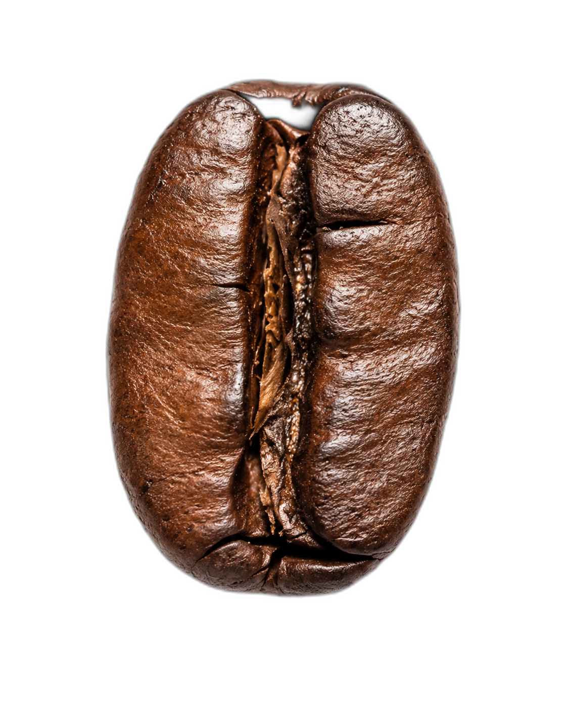 Abyssinia AB3 Arabica