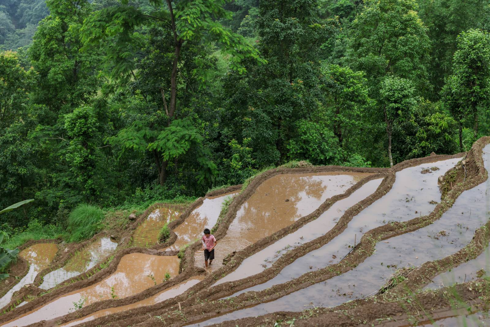 Nature Coffee Ilam Gallery Image 1