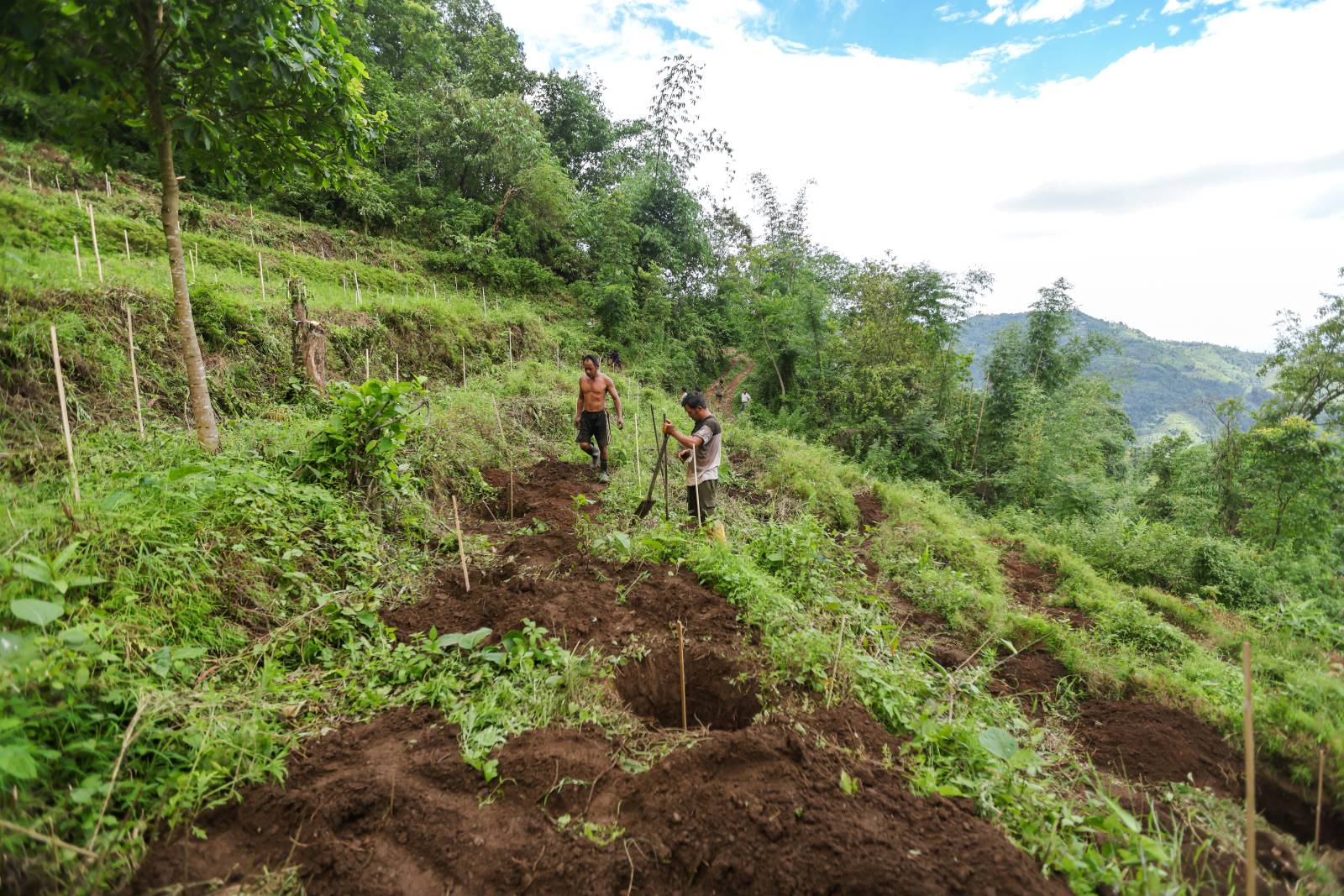 Nature Coffee Ilam Gallery Image 4