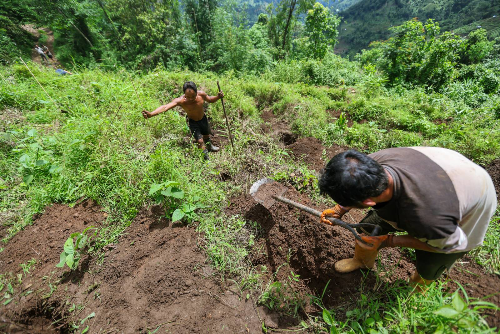 Nature Coffee Ilam Gallery Image 5