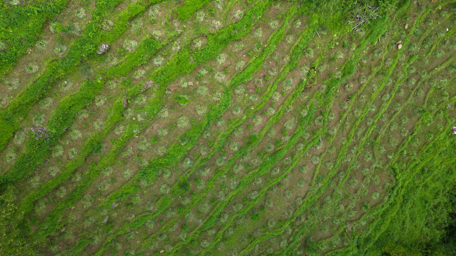 Nature Coffee Ilam Gallery Image 11