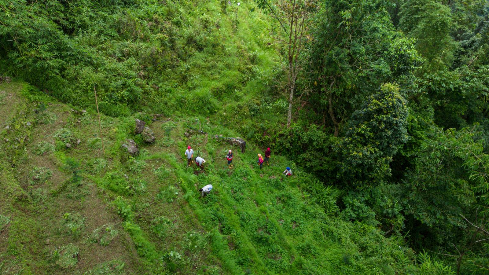 Nature Coffee Ilam Gallery Image 12