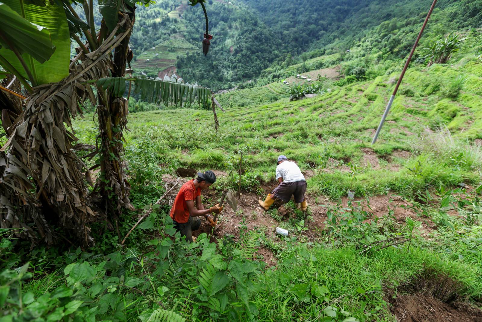 Nature Coffee Ilam Gallery Image 14