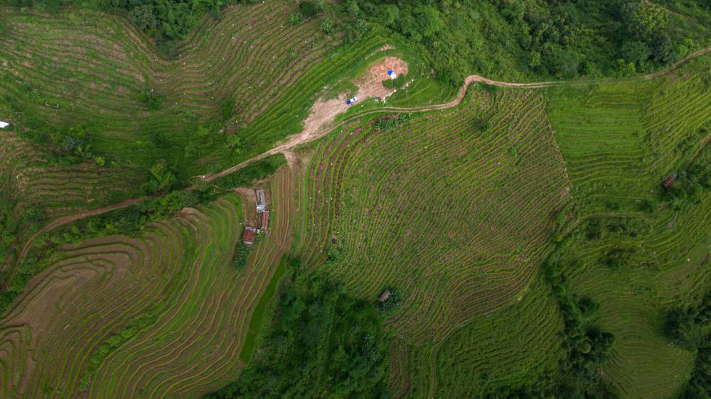 Nature Coffee Ilam Gallery Image