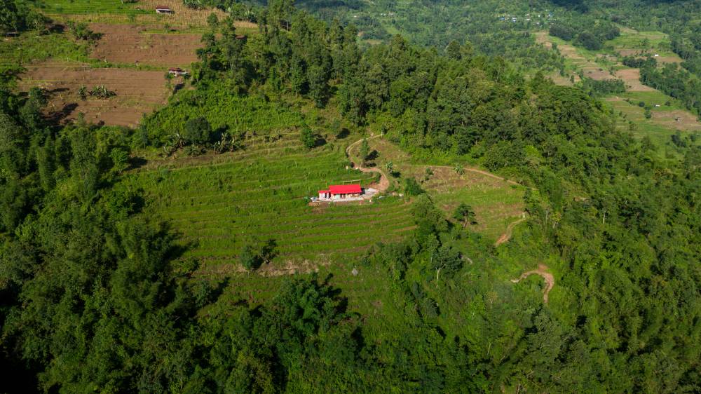Nature Coffee Ilam Gallery Image