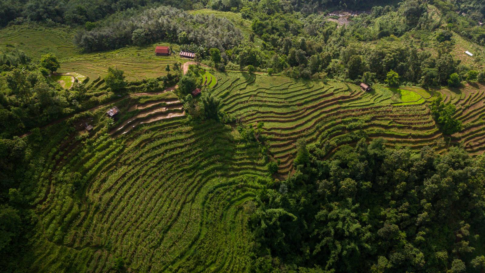 Nature Coffee Ilam Gallery Image 29