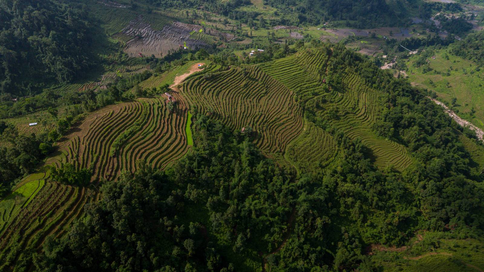 Nature Coffee Ilam Gallery Image 30