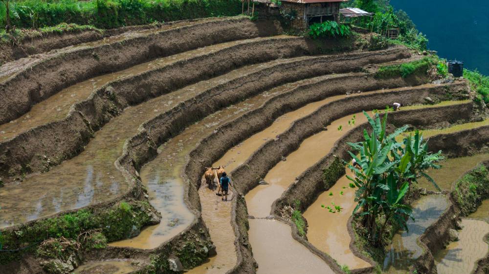 Nature Coffee Ilam Gallery Image