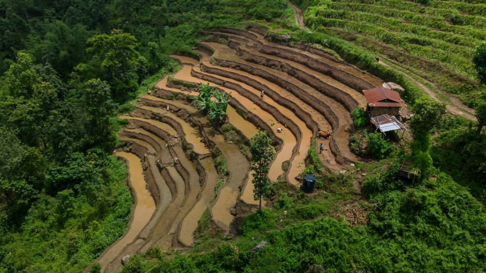 Nature Coffee Ilam Gallery Image