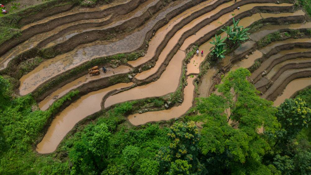 Nature Coffee Ilam Gallery Image