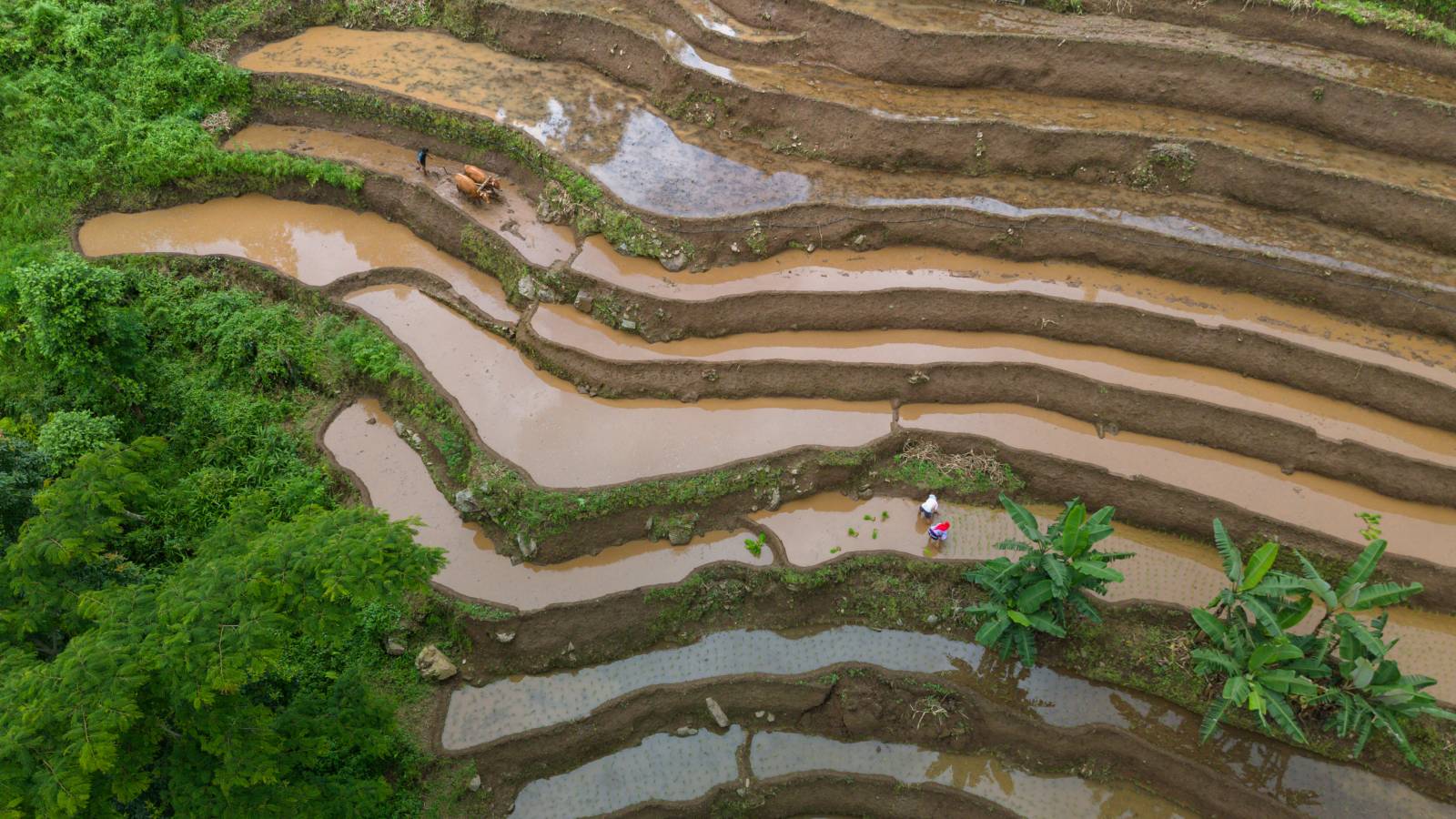 Nature Coffee Ilam Gallery Image 36