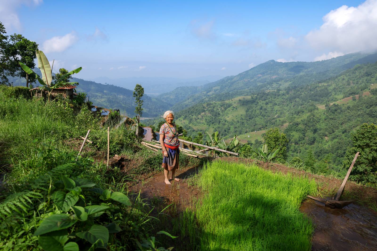 Nature Coffee Ilam Gallery Image 41