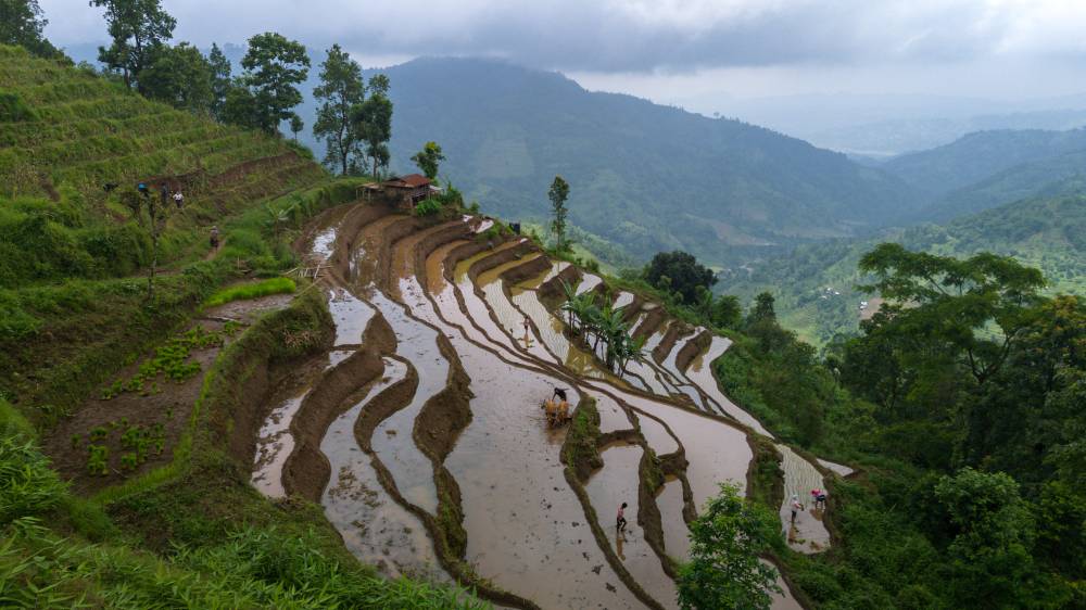 Nature Coffee Ilam Gallery Image