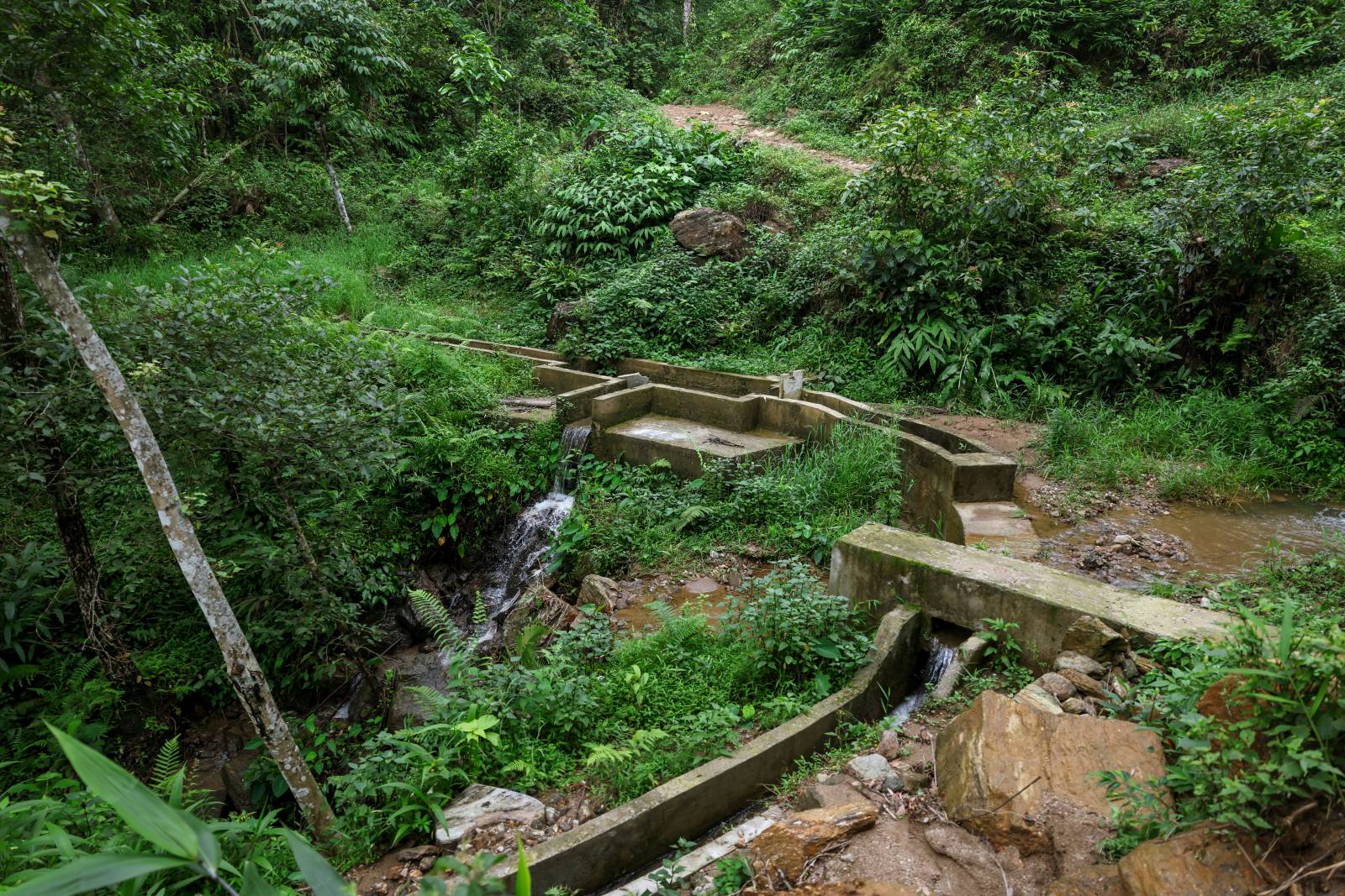 Nature Coffee Ilam Gallery Image 43