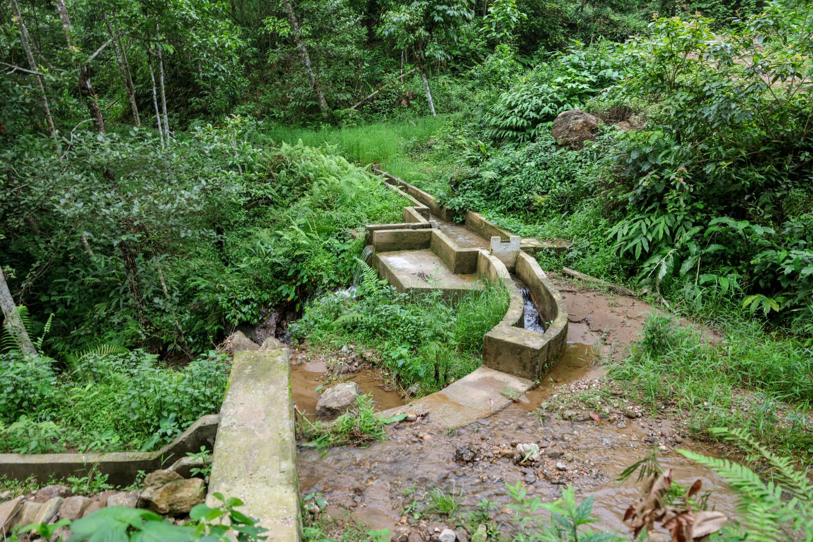 Nature Coffee Ilam Gallery Image