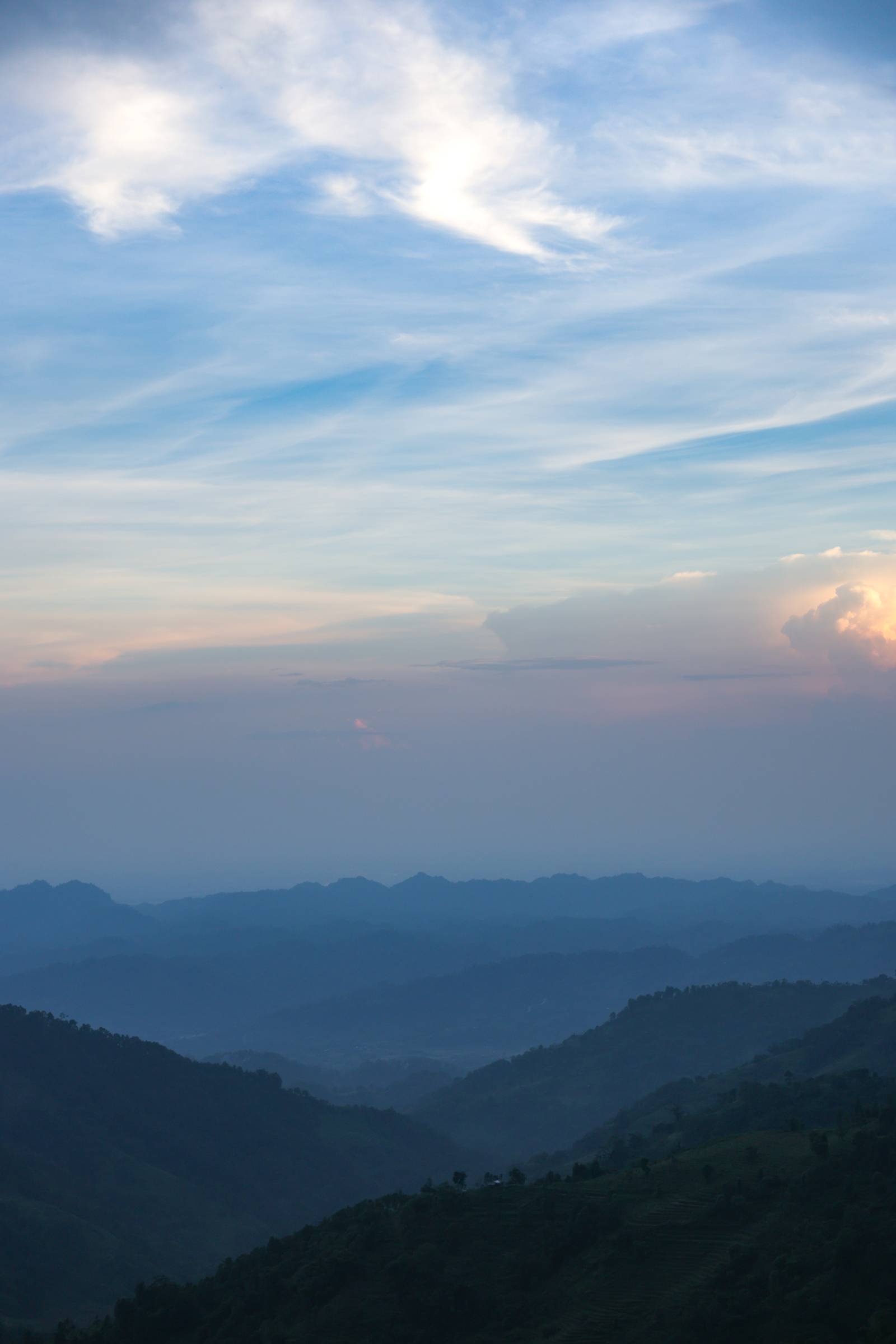 Nature Coffee Ilam Gallery Image 54