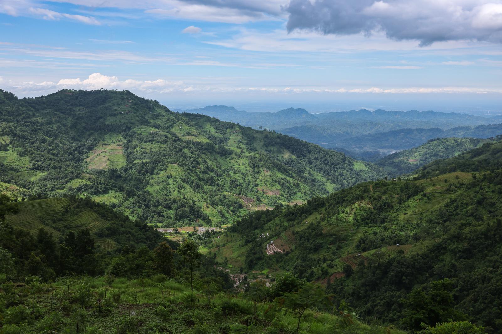 Nature Coffee Ilam Gallery Image