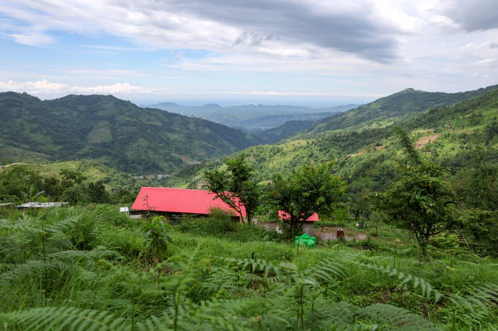 Nature Coffee Ilam Gallery Image