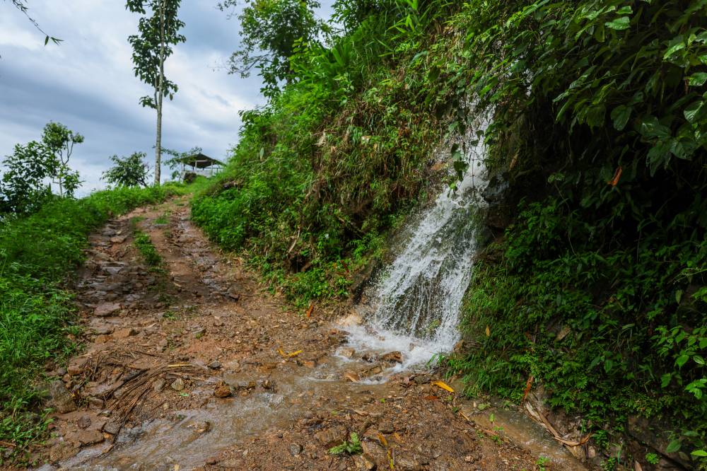 Nature Coffee Ilam Gallery Image