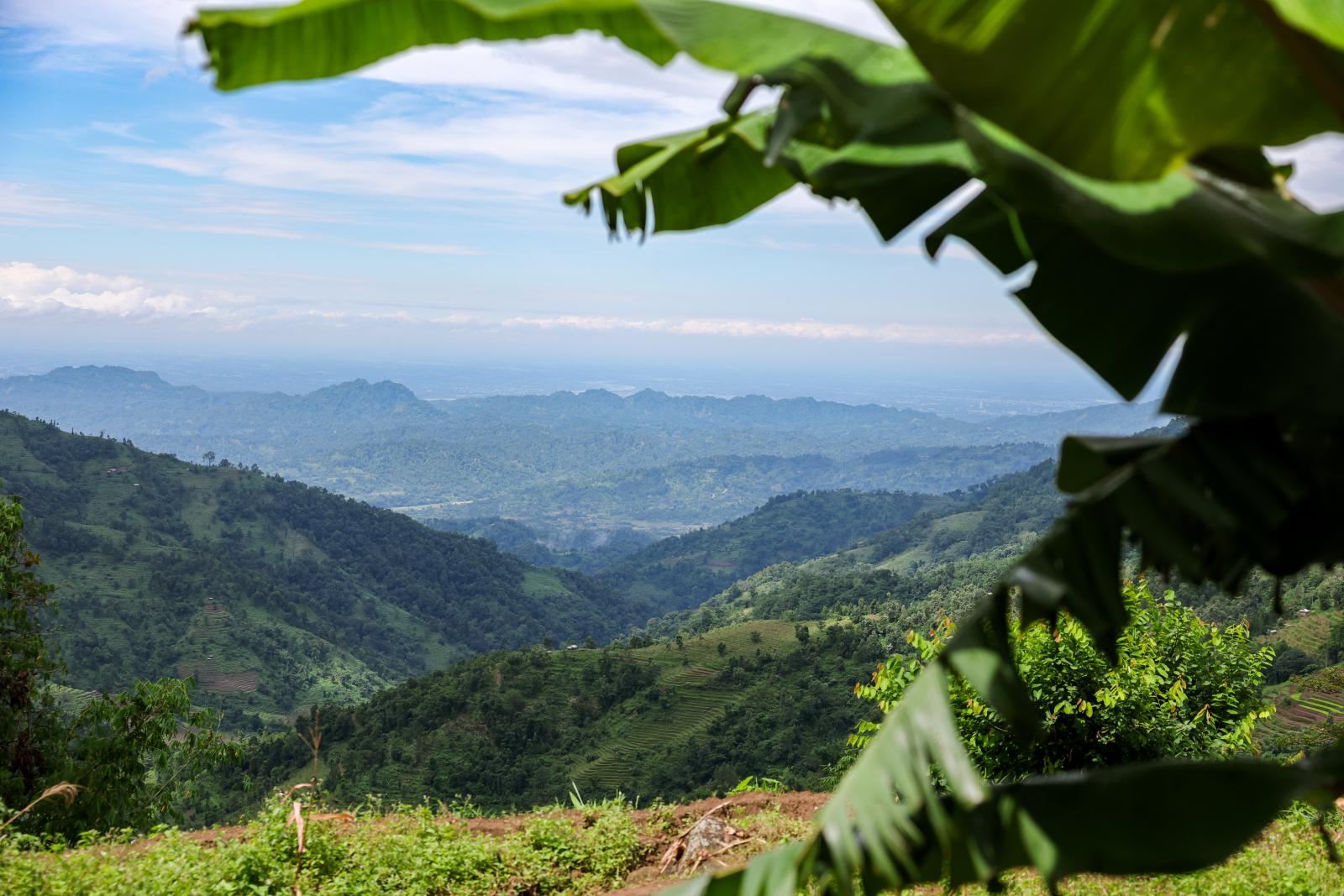 Nature Coffee Ilam Gallery Image