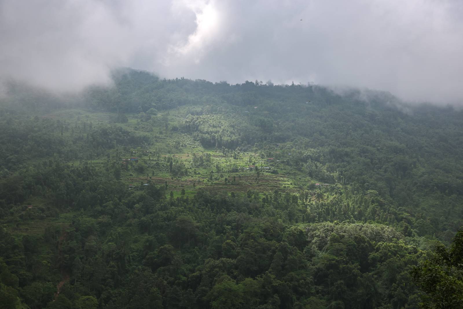 Nature Coffee Ilam Gallery Image 71