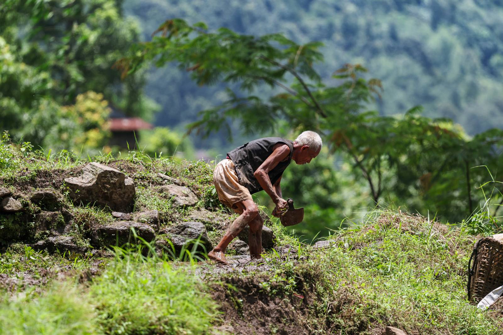 Nature Coffee Ilam Gallery Image 76