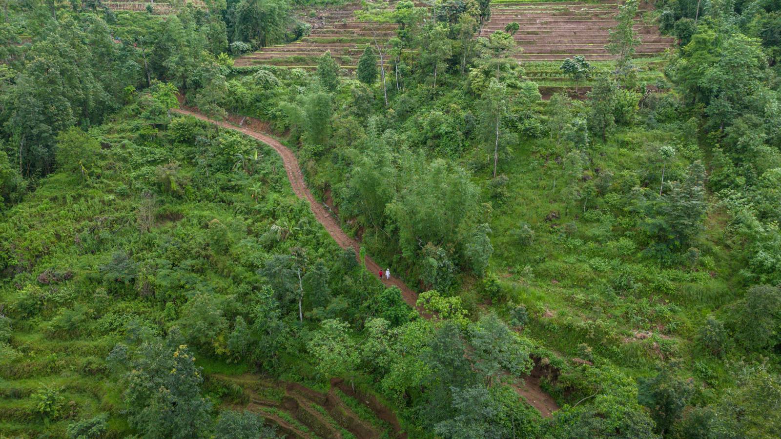 Nature Coffee Ilam Gallery Image 80