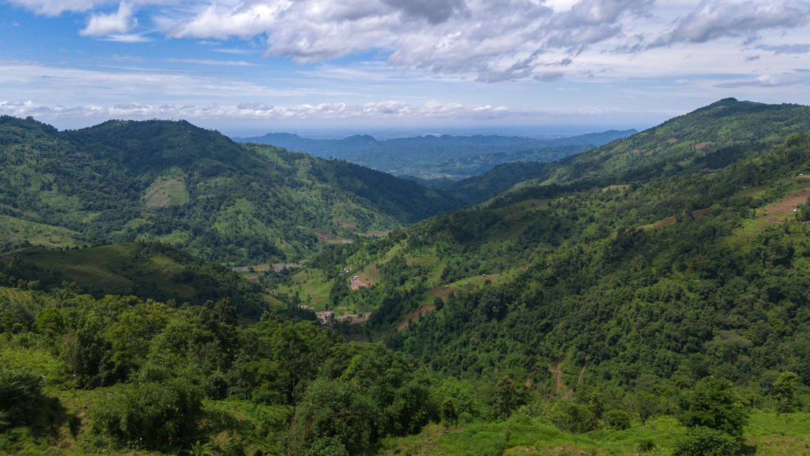 Nature Coffee Ilam Gallery Image 82