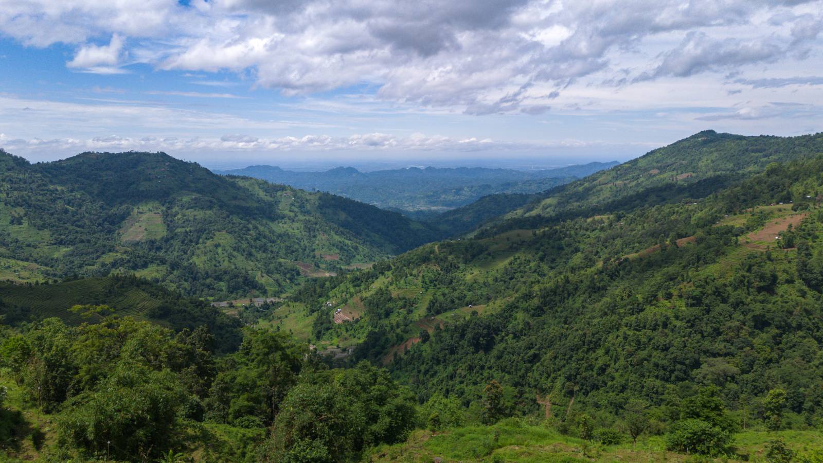 Nature Coffee Ilam Gallery Image 83